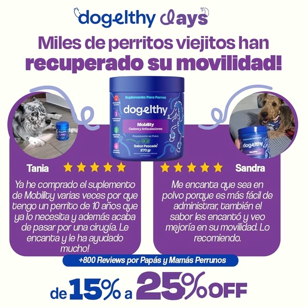 A square-ratio ad featuring two customer testimonial snippets, a product shot, and a bold claim about improving mobility in senior dogs.